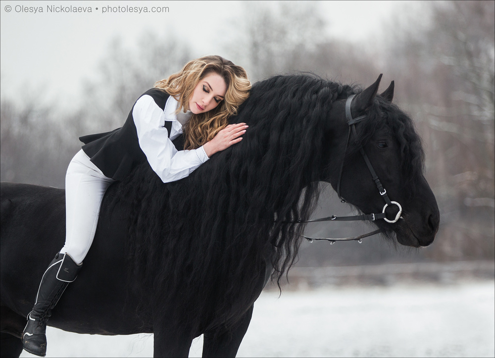  лошади и люди  ◆ horse and human