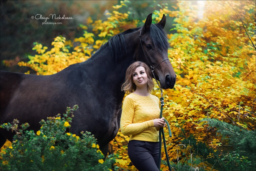  лошади и люди  ◆ horse and human