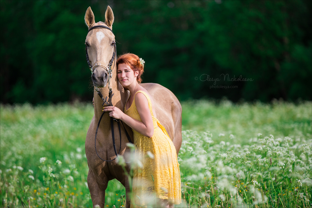  лошади и люди  ◆ horse and human