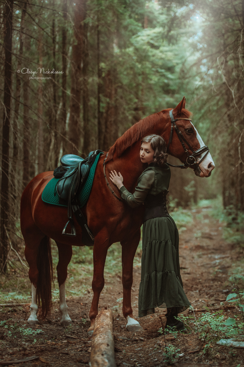  лошади и люди  ◆ horse and human