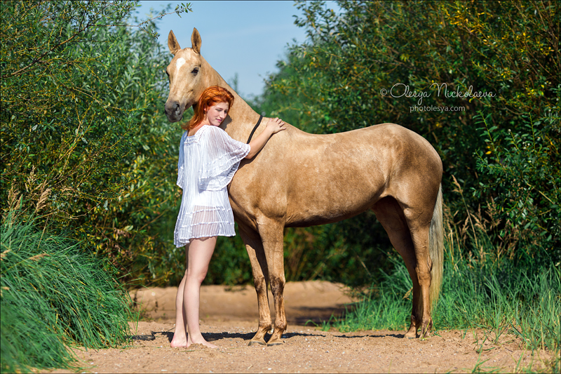  лошади и люди  ◆ horse and human