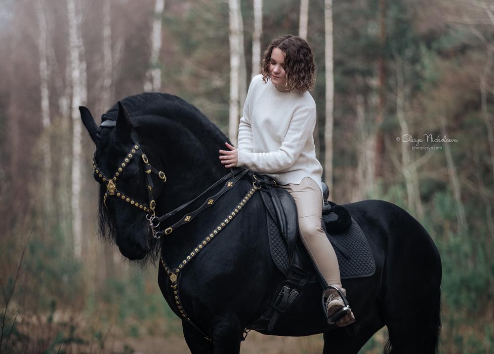  лошади и люди  ◆ horse and human