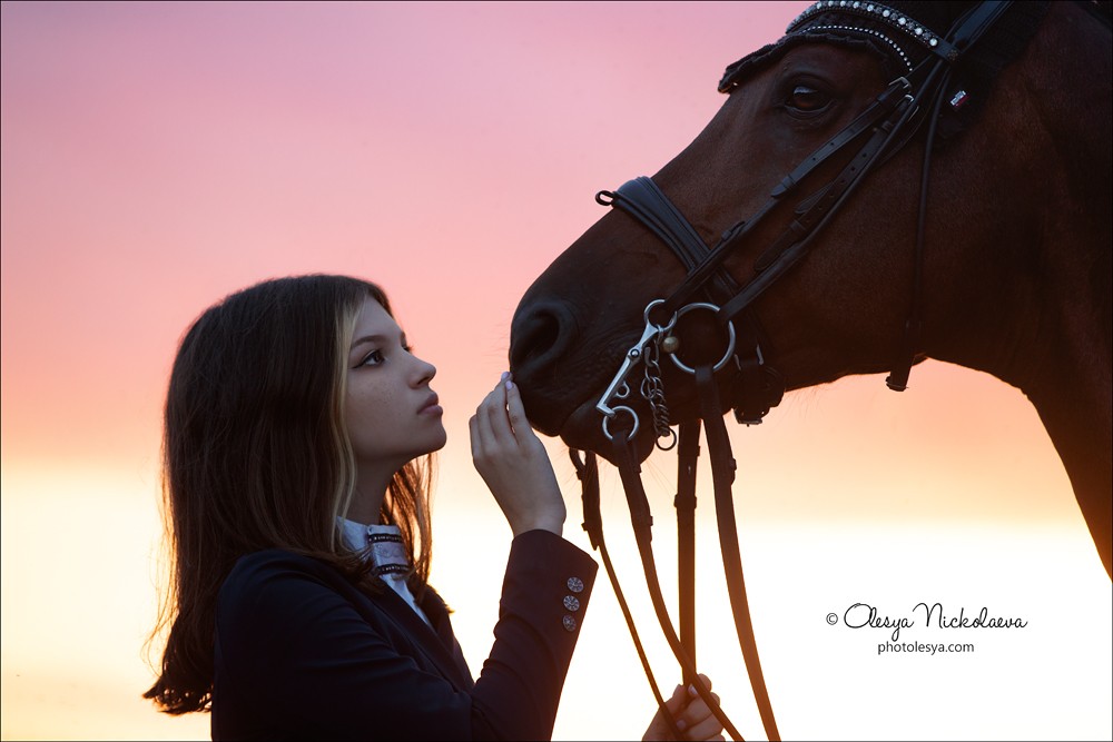  лошади и люди  ◆ horse and human