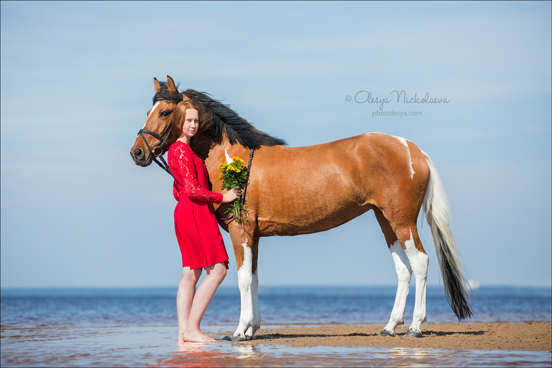  лошади и люди  ◆ horse and human