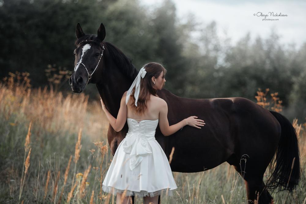  лошади и люди  ◆ horse and human