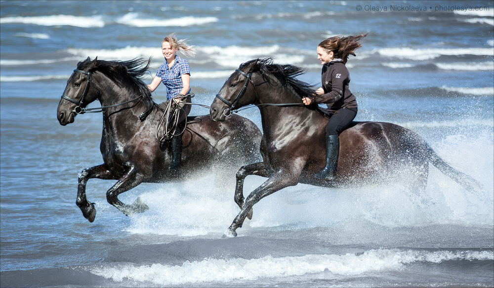  лошади и люди  ◆ horse and human