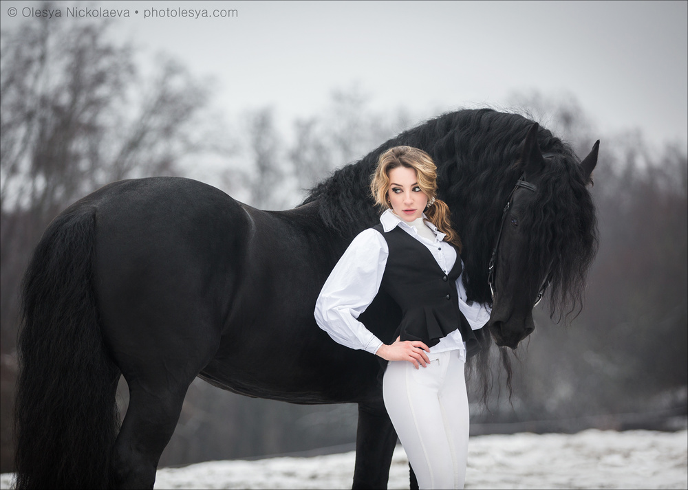  лошади и люди  ◆ horse and human