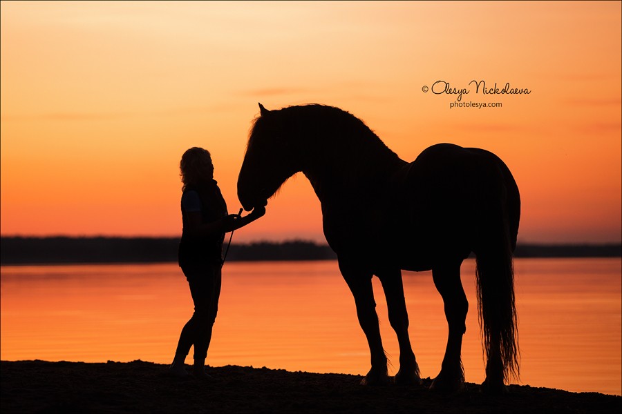  лошади и люди  ◆ horse and human