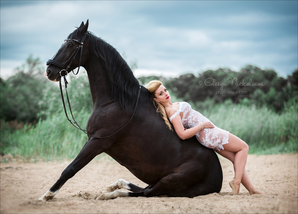 лошади и люди  ◆ horse and human
