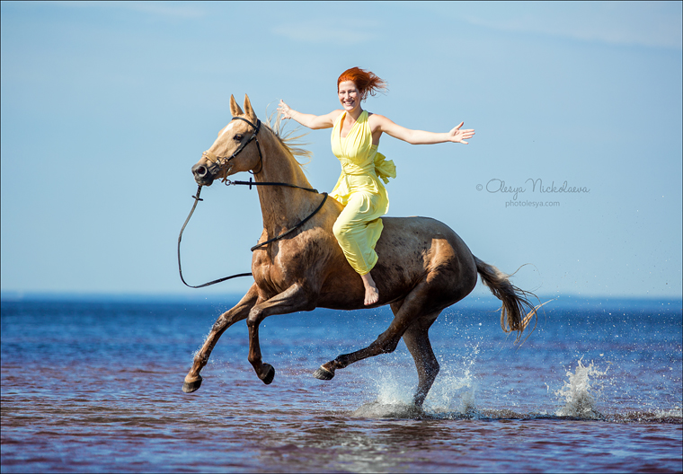  лошади и люди  ◆ horse and human