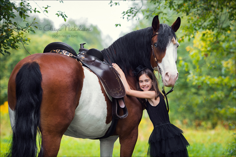  лошади и люди  ◆ horse and human