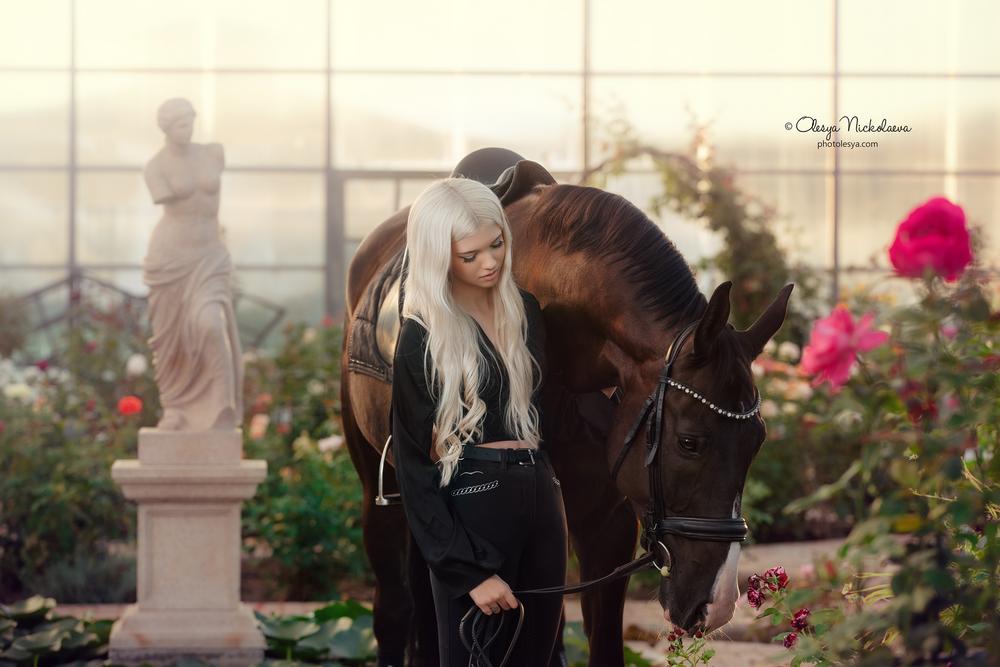  лошади и люди  ◆ horse and human