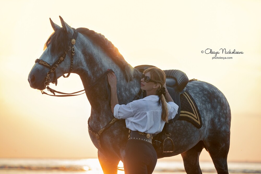  лошади и люди  ◆ horse and human