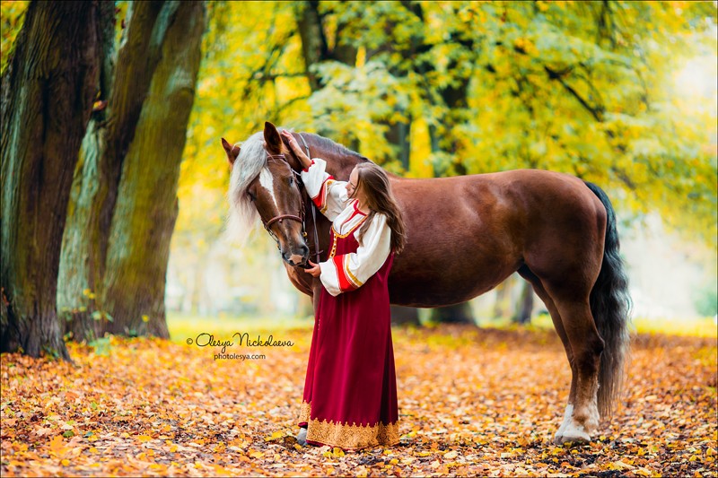  лошади и люди  ◆ horse and human