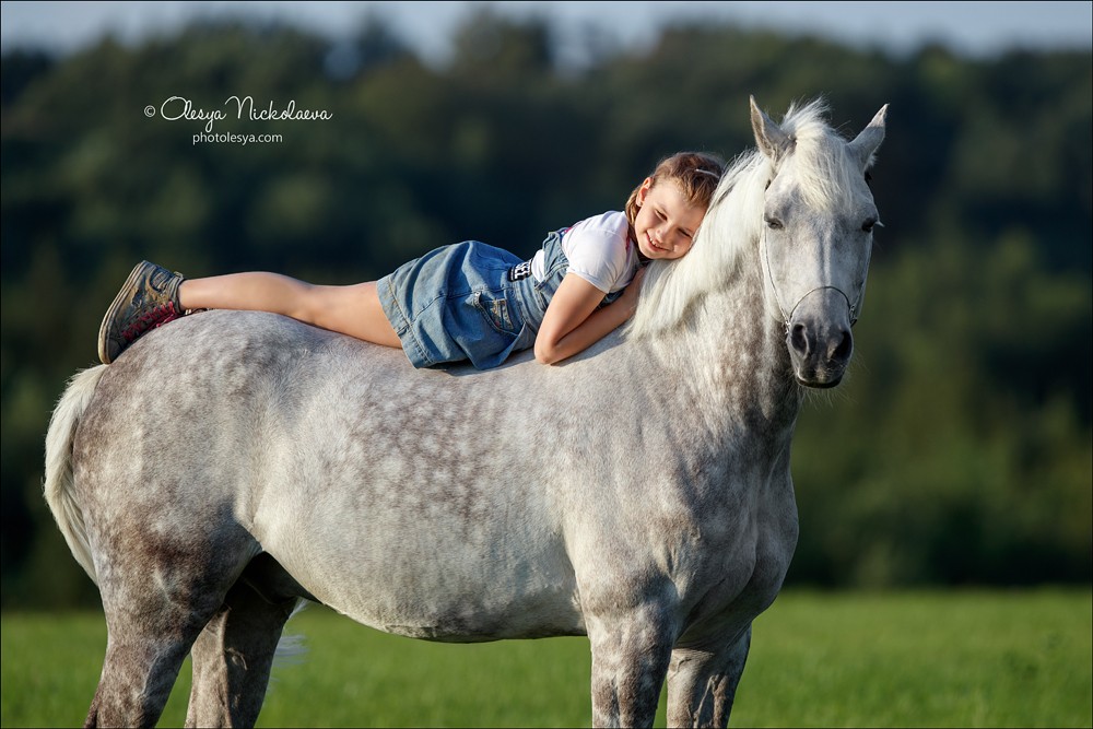  лошади и люди  ◆ horse and human