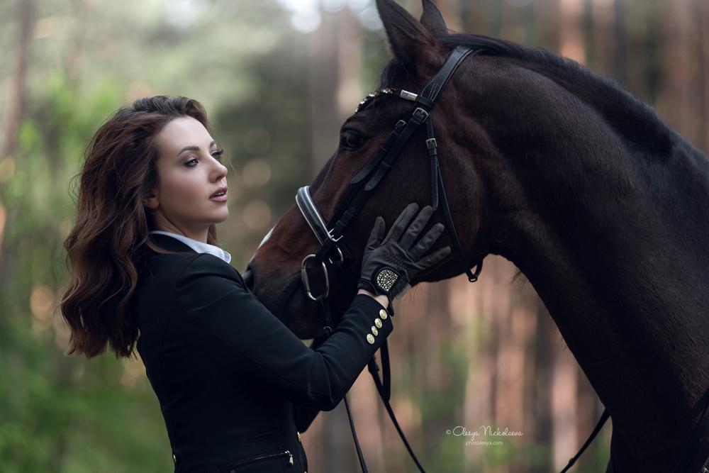  лошади и люди  ◆ horse and human