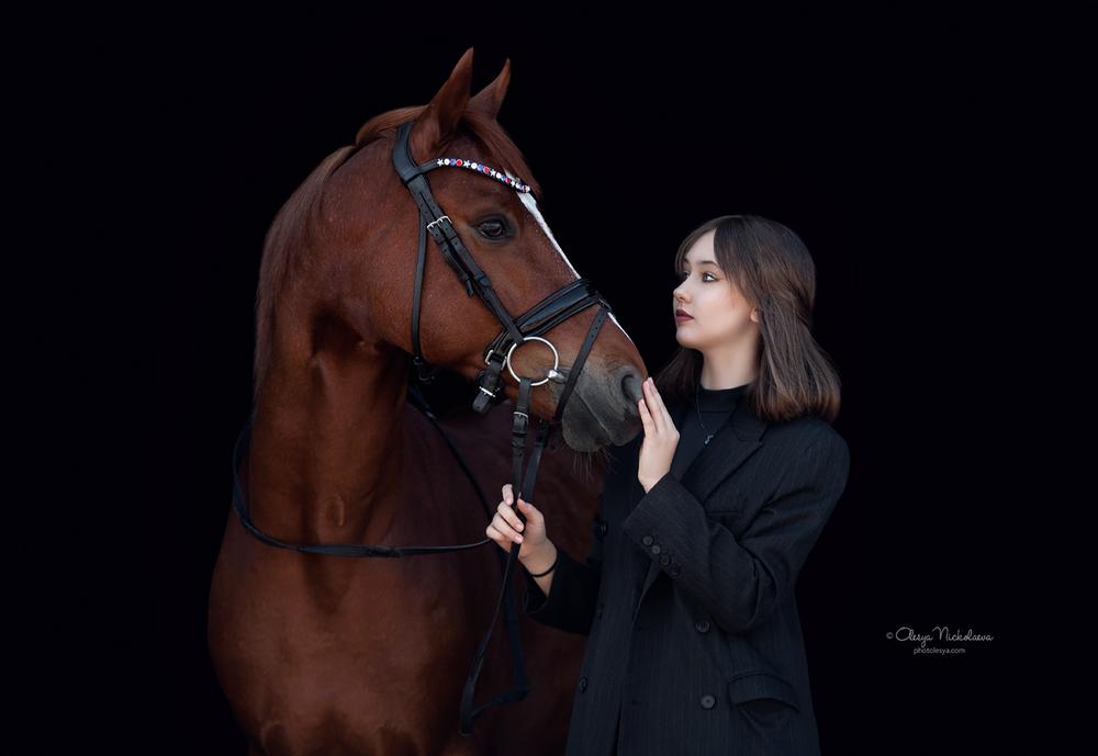  лошади и люди  ◆ horse and human