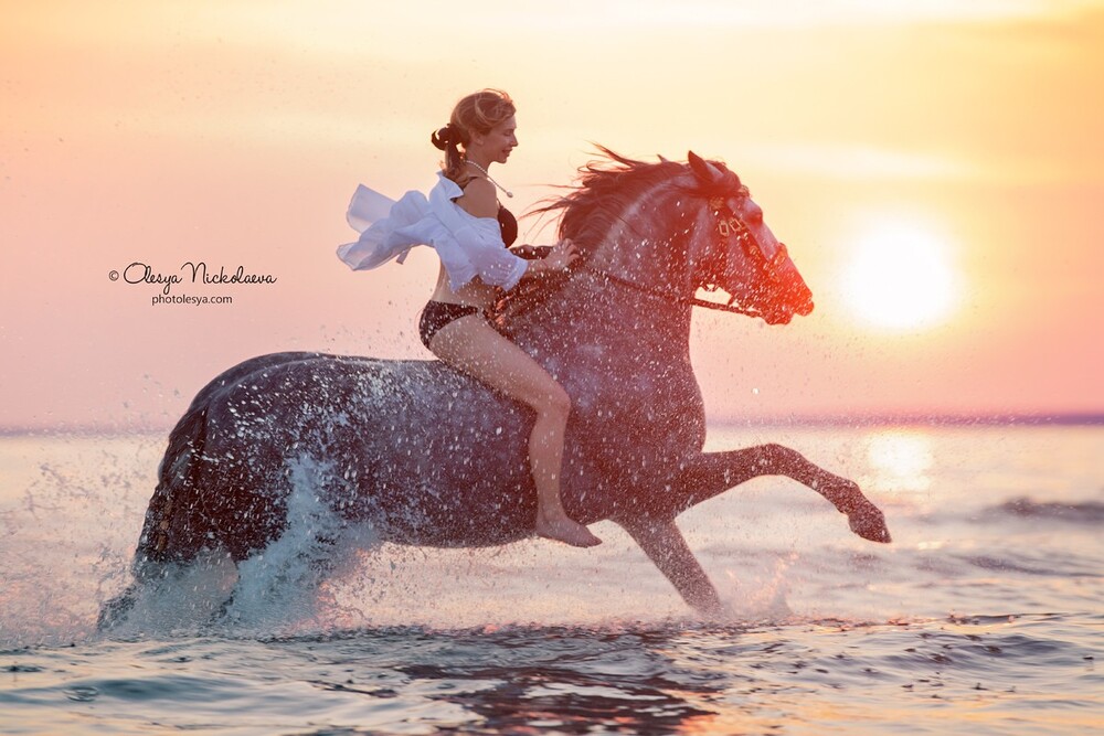  лошади и люди  ◆ horse and human