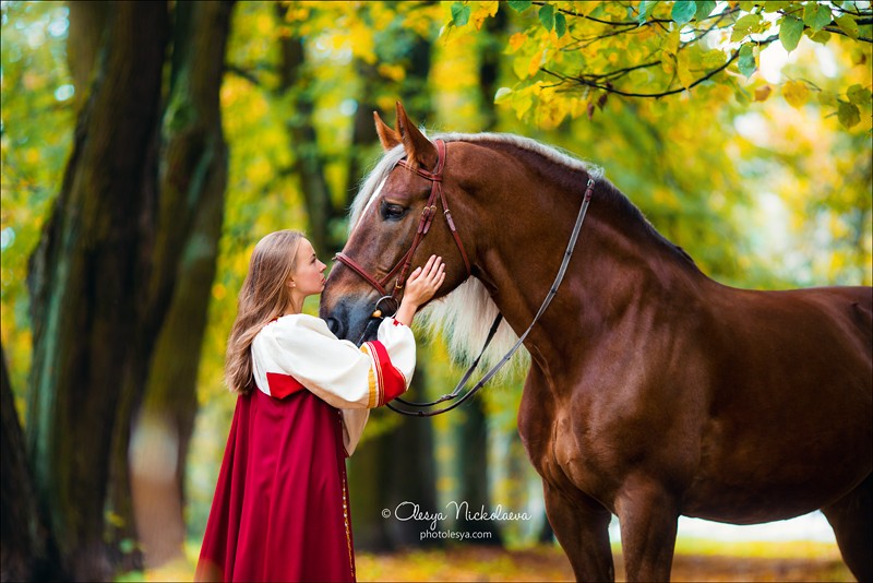 лошади и люди  ◆ horse and human