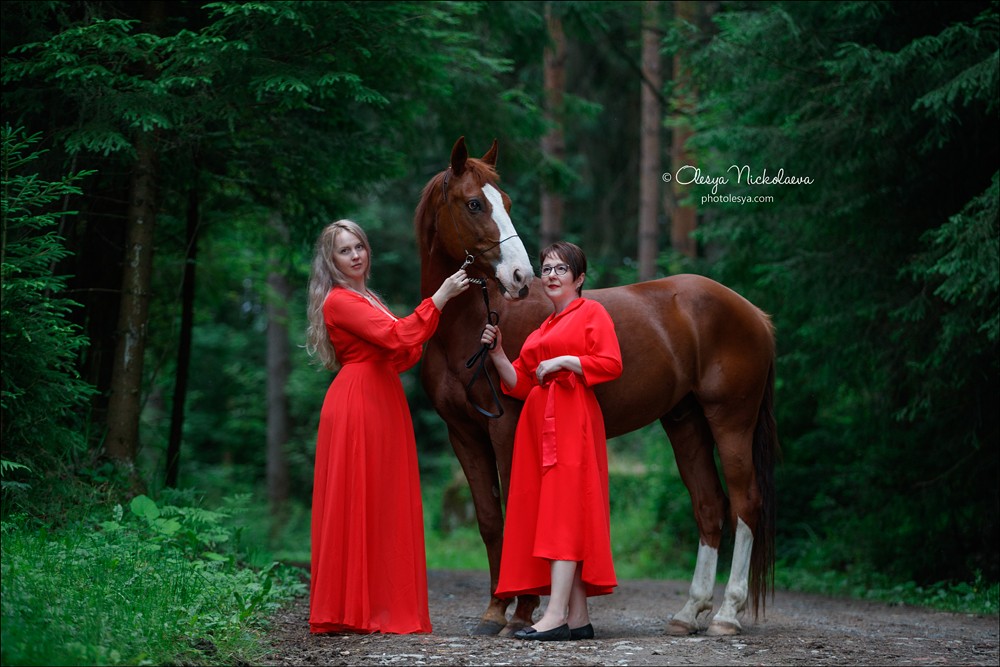  лошади и люди  ◆ horse and human