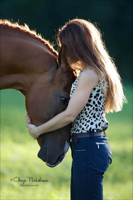  лошади и люди  ◆ horse and human