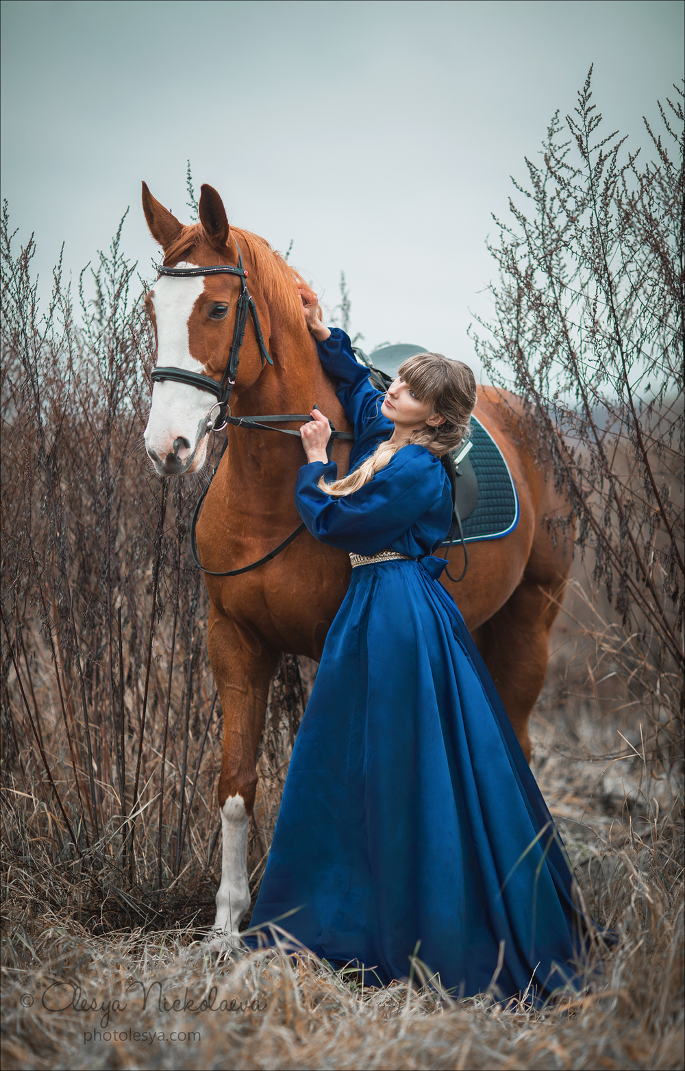  лошади и люди  ◆ horse and human