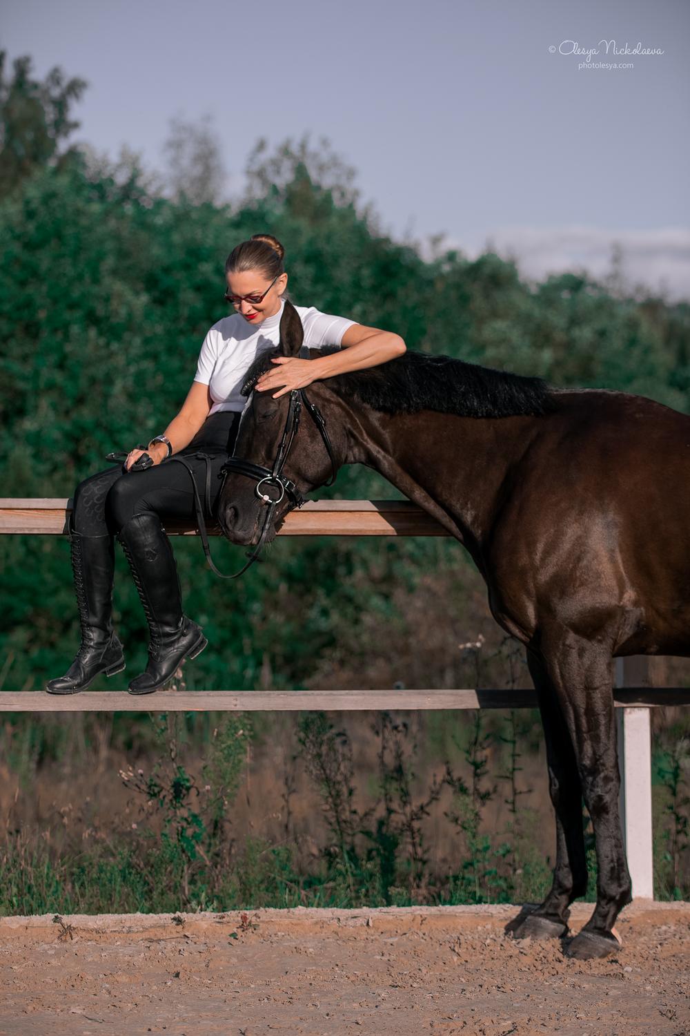  лошади и люди  ◆ horse and human