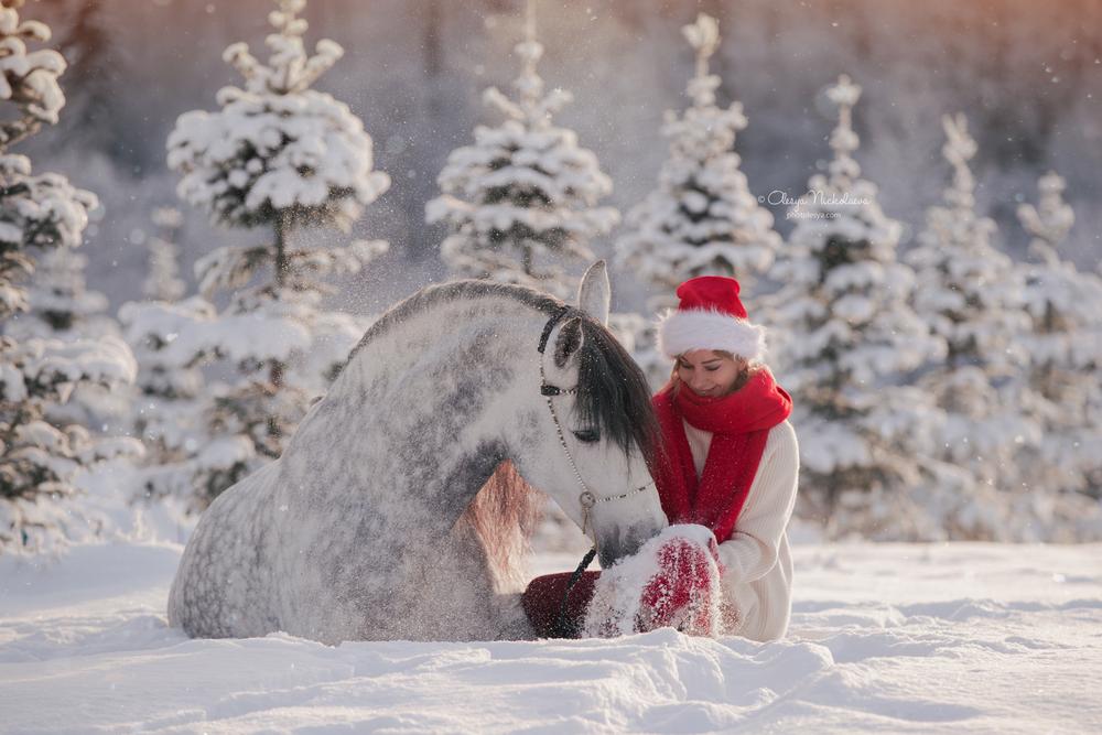  лошади и люди  ◆ horse and human