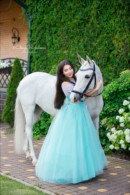  лошади и люди  ◆ horse and human