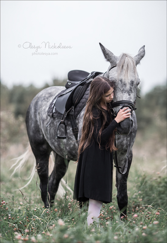  лошади и люди  ◆ horse and human