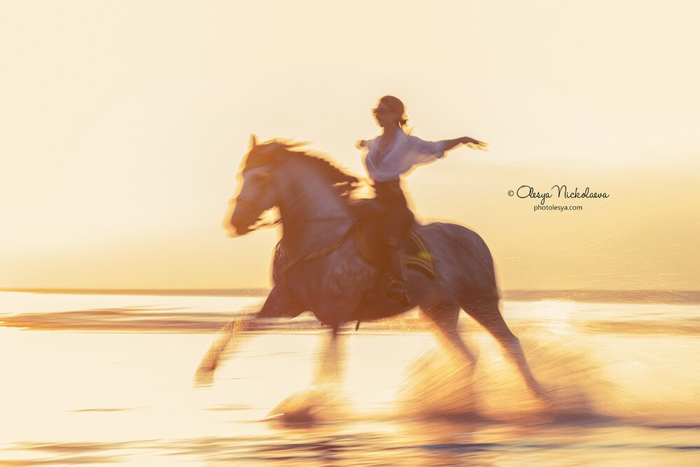  лошади и люди  ◆ horse and human