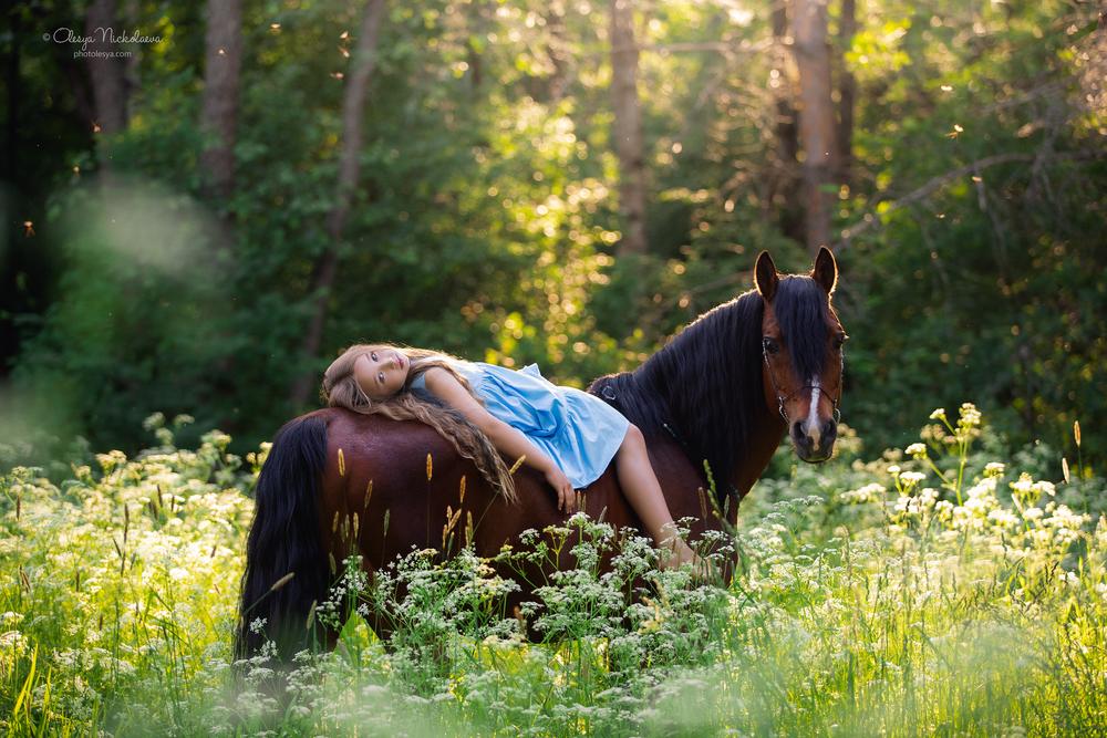  лошади и люди  ◆ horse and human