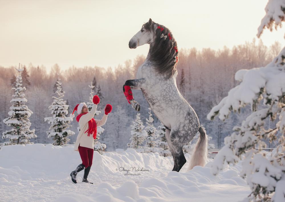  лошади и люди  ◆ horse and human