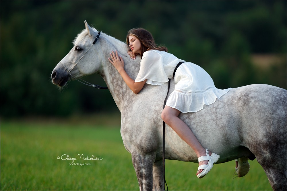  лошади и люди  ◆ horse and human
