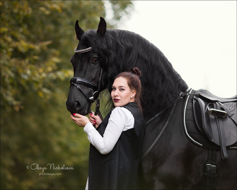  лошади и люди  ◆ horse and human