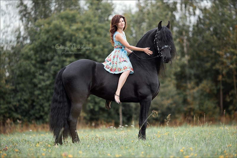  лошади и люди  ◆ horse and human