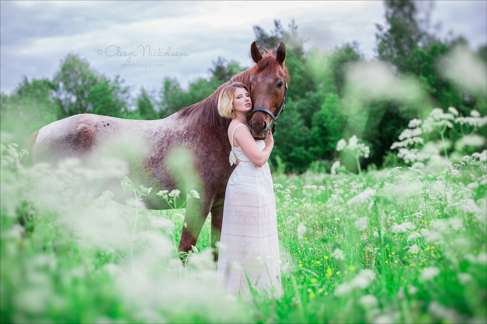  лошади и люди  ◆ horse and human
