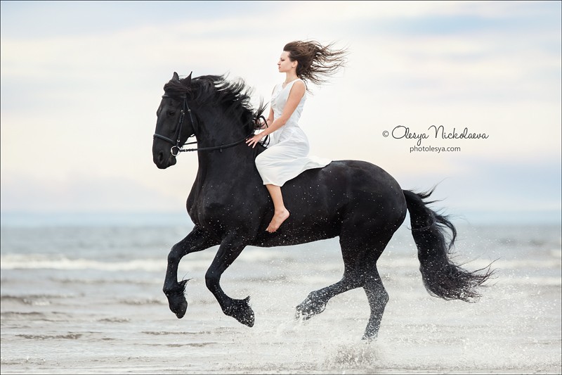  лошади и люди  ◆ horse and human