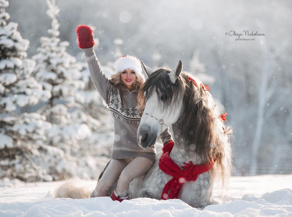 лошади и люди  ◆ horse and human