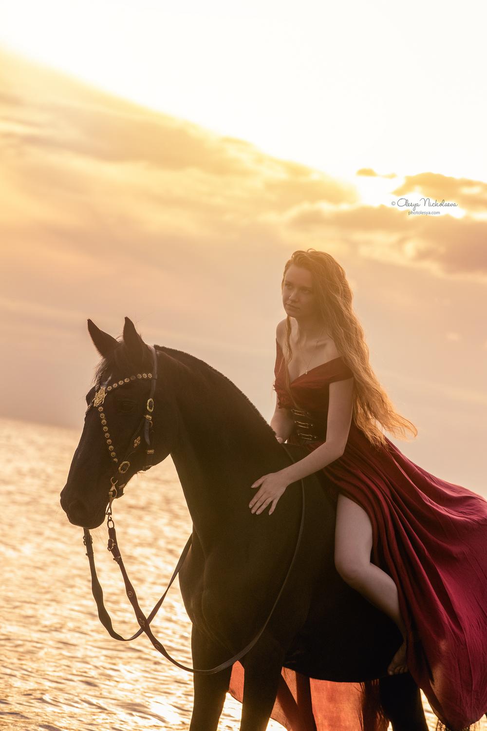  лошади и люди  ◆ horse and human
