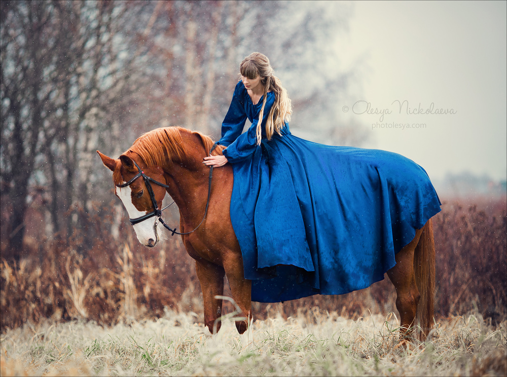  лошади и люди  ◆ horse and human
