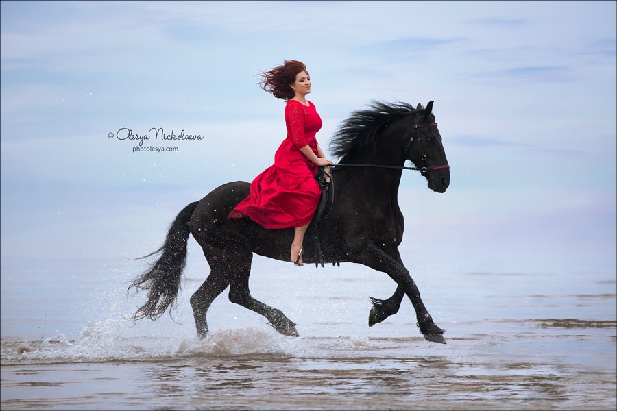  лошади и люди  ◆ horse and human