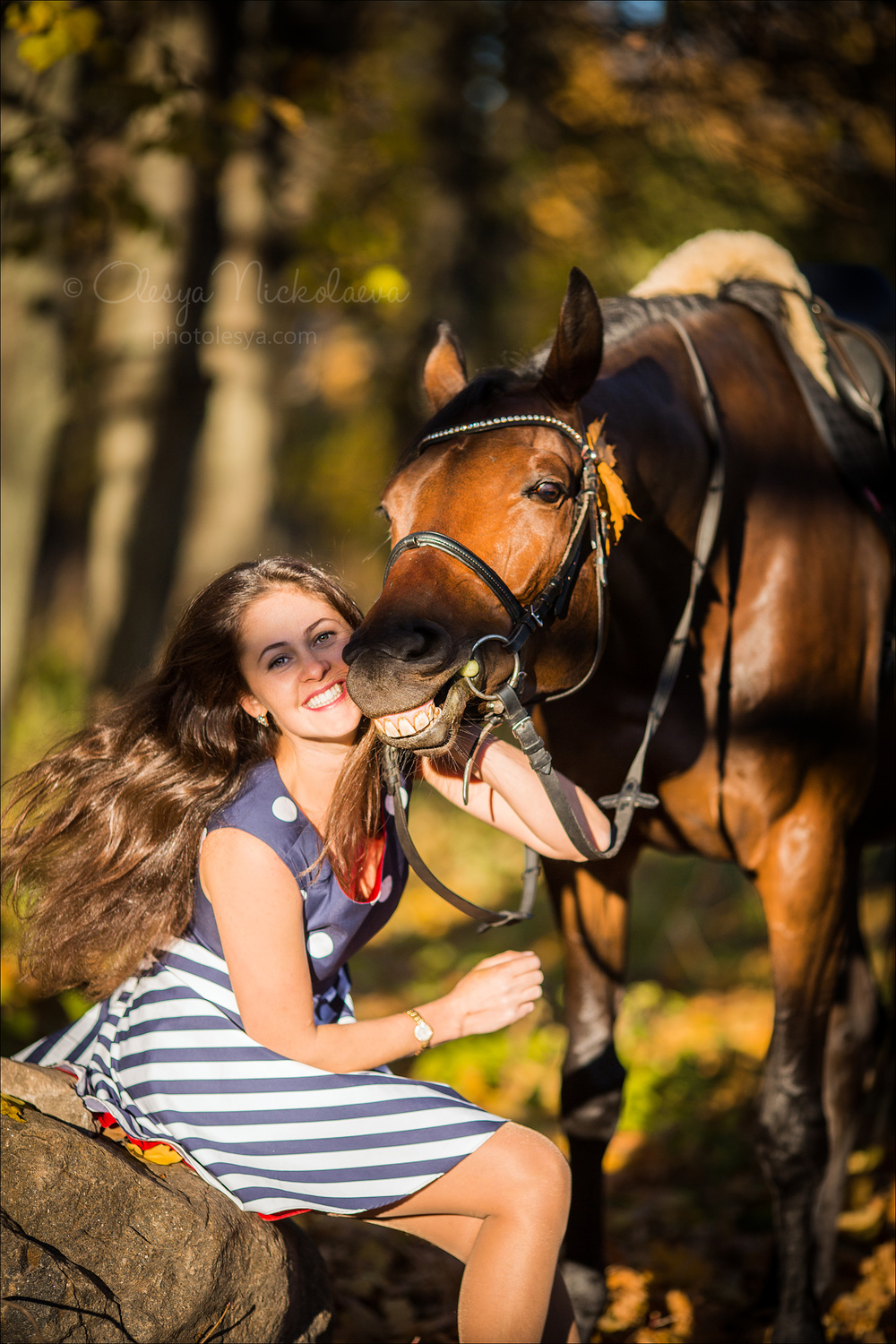  лошади и люди  ◆ horse and human