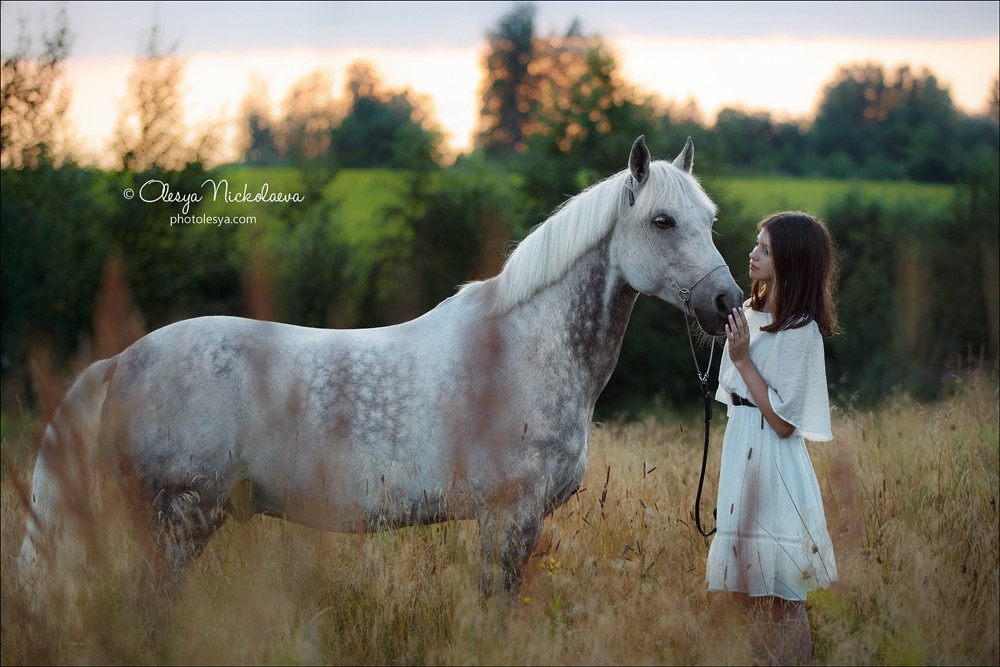  лошади и люди  ◆ horse and human