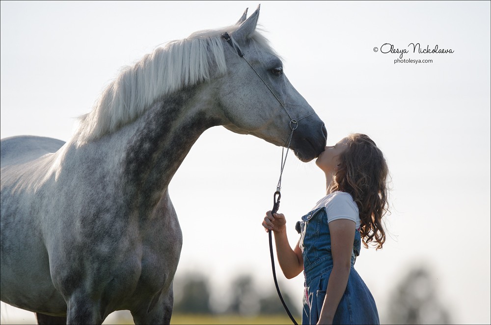  лошади и люди  ◆ horse and human