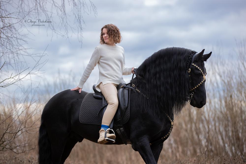  лошади и люди  ◆ horse and human