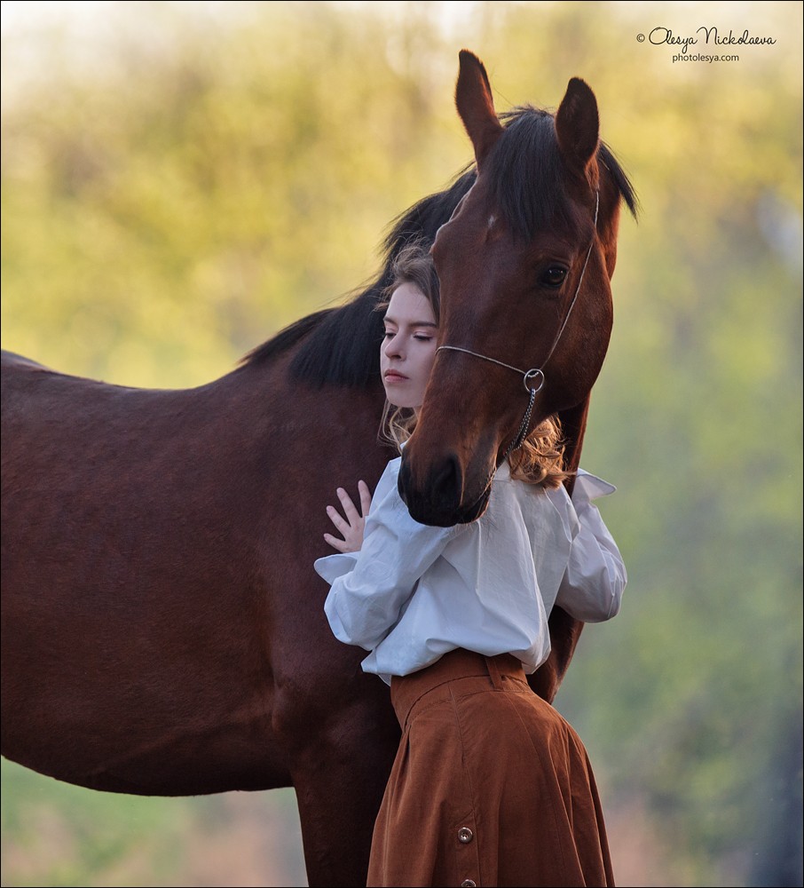  лошади и люди  ◆ horse and human