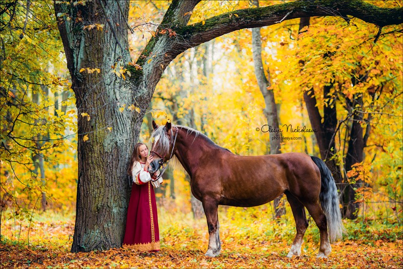  лошади и люди  ◆ horse and human