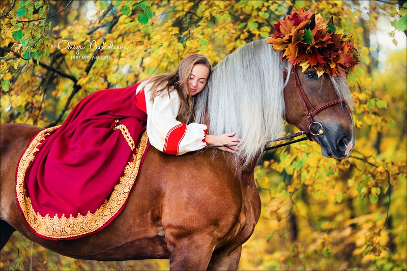  лошади и люди  ◆ horse and human