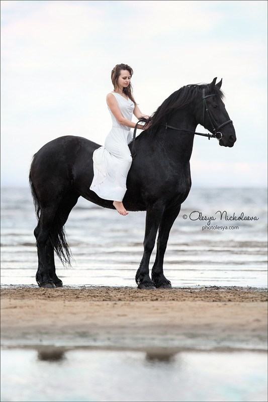  лошади и люди  ◆ horse and human
